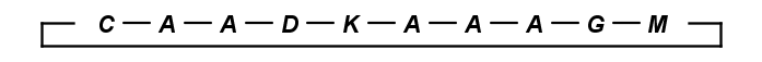 images/download/attachments/45331218/peptide_cycle.png